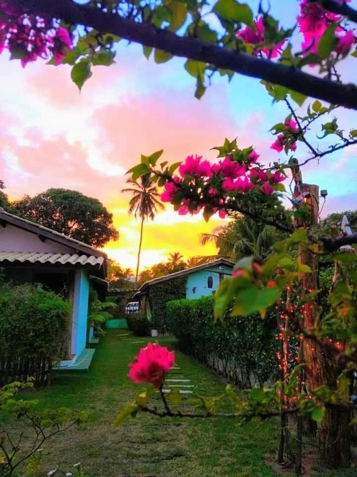 Chalets Jasmim Imbassaí-BA Mata de São João Exterior foto